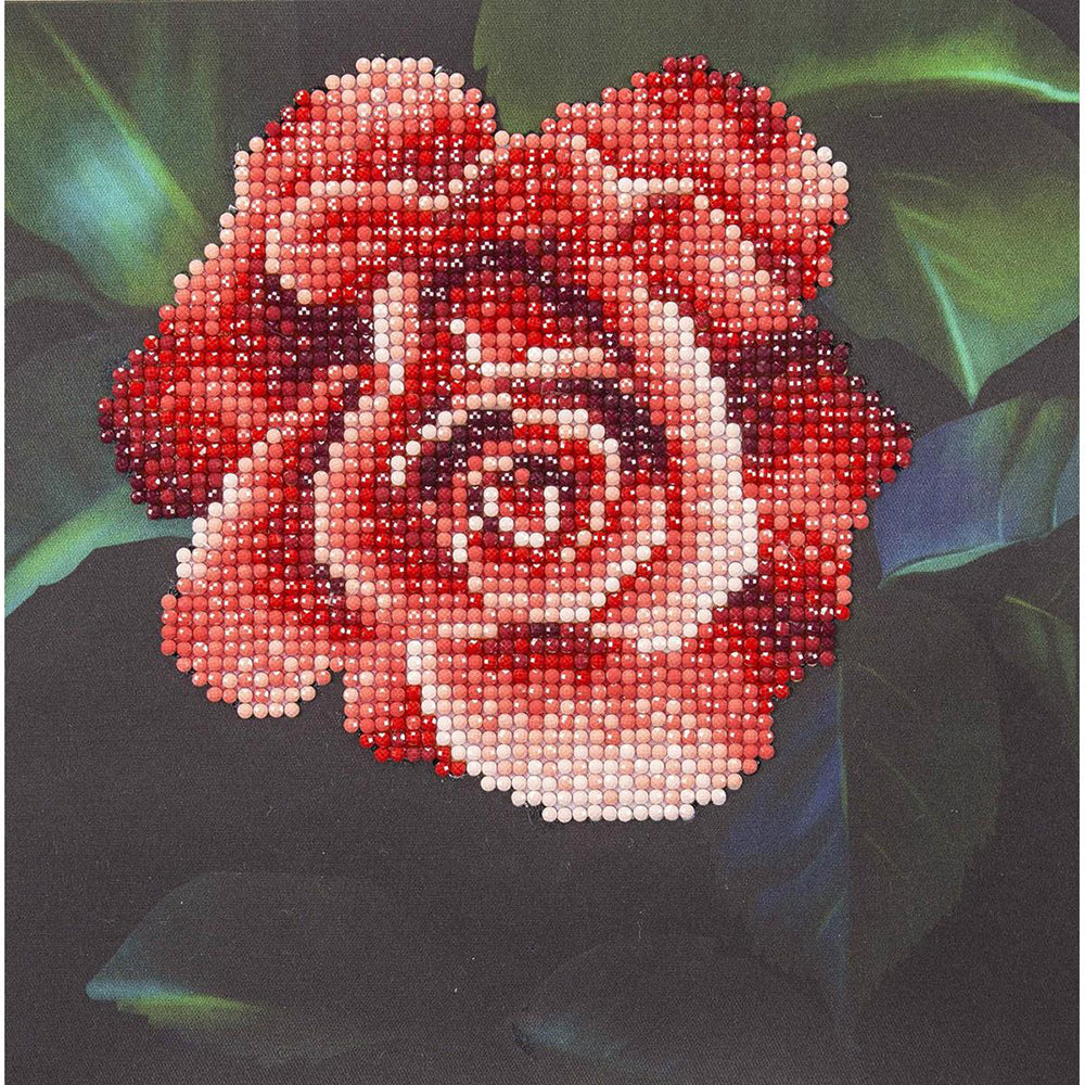 Leisure Art Beginner Diamond Art Kit Red Rose DMA50445 – Good's Store Online